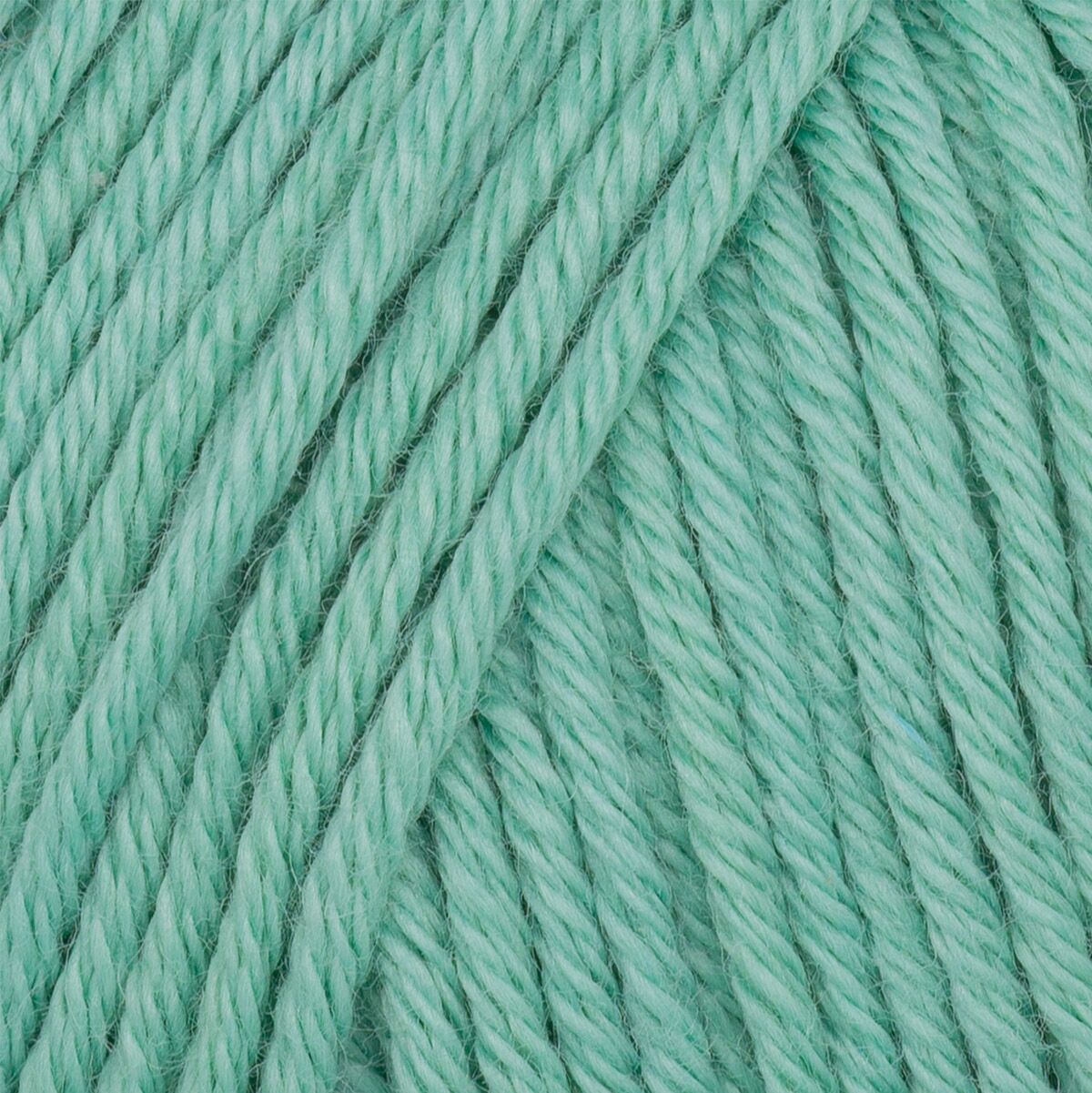 Gazzal Organic Baby Cotton Jade (422)