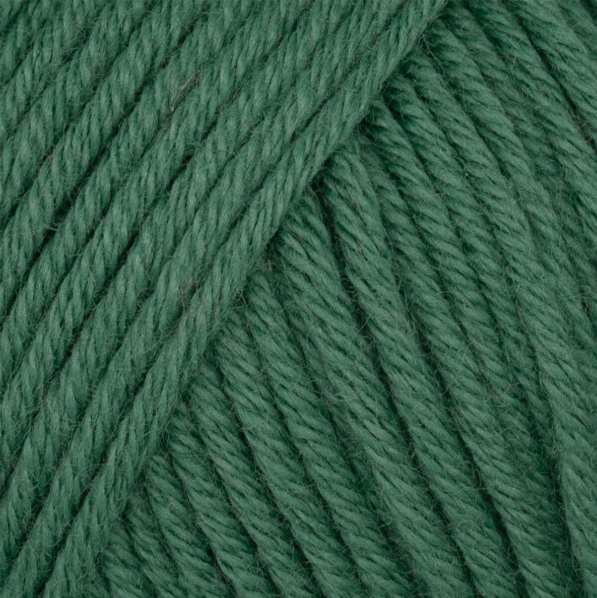 Gazzal Organic Baby Cotton Dark Green (427)